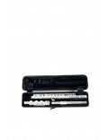 BAM Flute Case